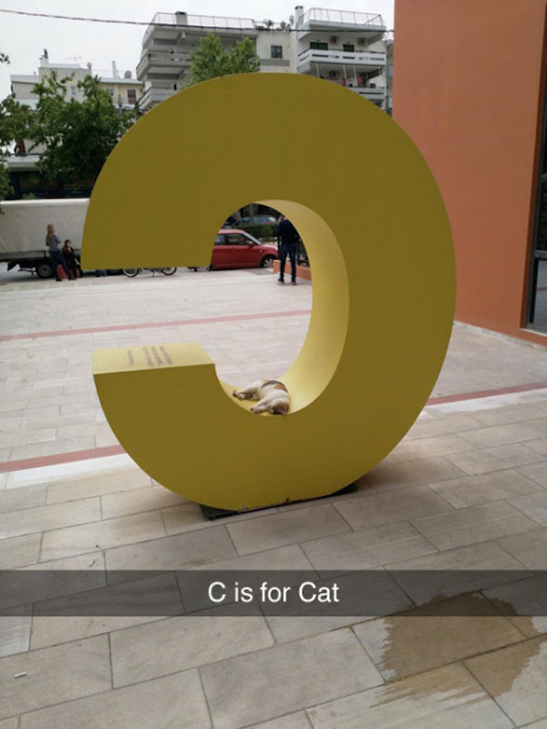 fotos-divertidas-sculpture-c-is-for-cat