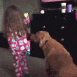 the-best-funny-pictures-of-kids-getting-hurt-kids-getting-injured-tackle-dog-little-girl