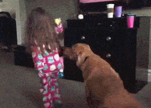 the-best-funny-pictures-of-kids-getting-hurt-kids-getting-injured-tackle-dog-little-girl