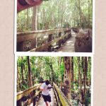 the-best-funny-selfie-with-a-squirrel