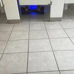 17760132_202924723536974_1158437437369550993_n