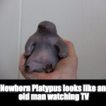 17862850_1613150615363836_2398935617417632366_n