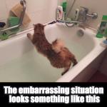 17951533_1613152332030331_2928377871263969312_n