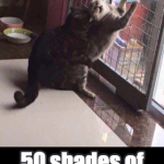 19030385_1684899148188982_4674822385740376999_n