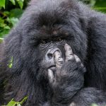 BRONZE-RUNNER-UP---Oli-Dreike-conde-nast-traveller-20nov15-pr