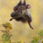 Highly-Commended--Julian-Rad-conde-nast-traveller-20nov15-pr