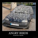 Angry-birds