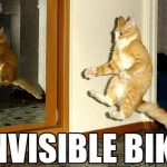 Cat-Riding-Invisible-Bike