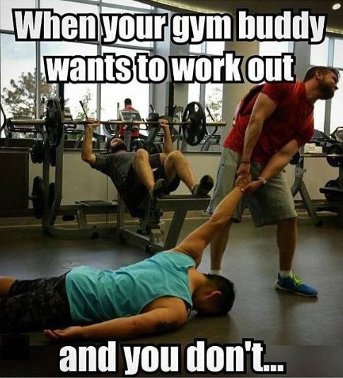 Funny Gym Partner