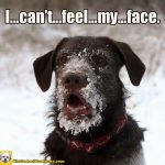 It's ca ca ca-cold outside!