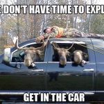 animal-meme
