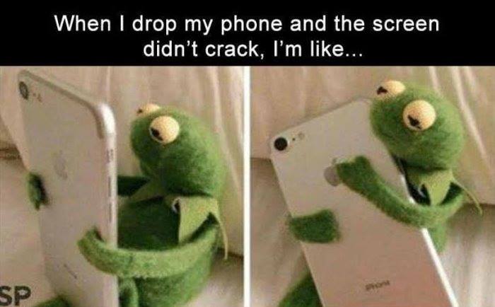 When i drop my phone