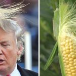 hair style