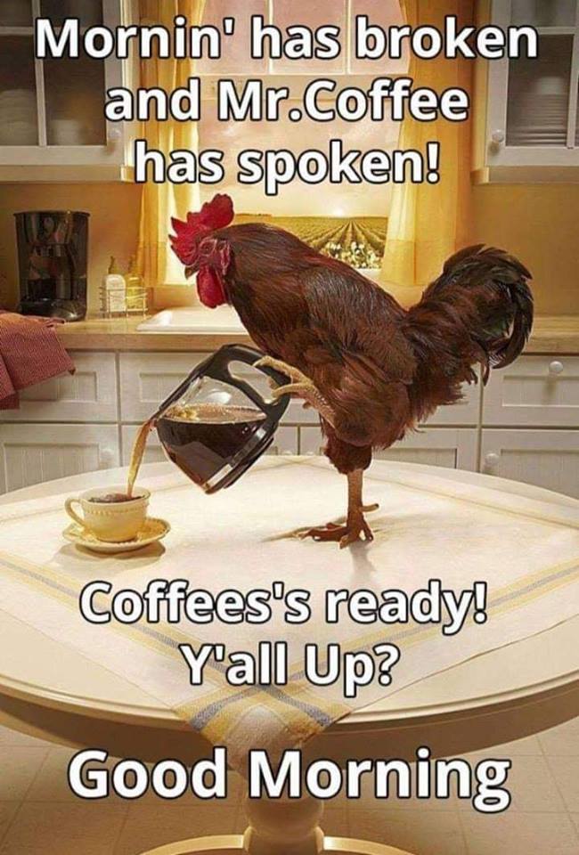 Mr.Coffee