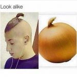 onion
