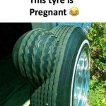 pregnant-tyre