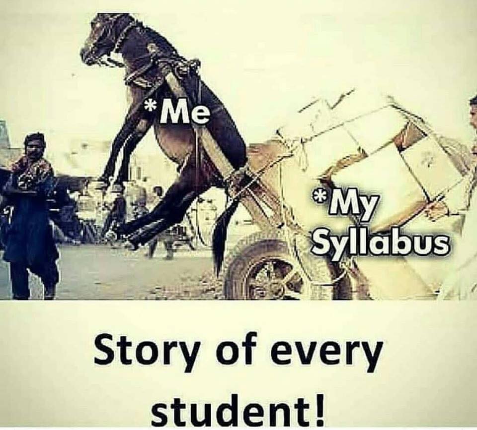 study-sllybus