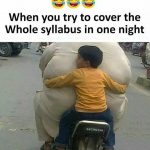 study-syllabus